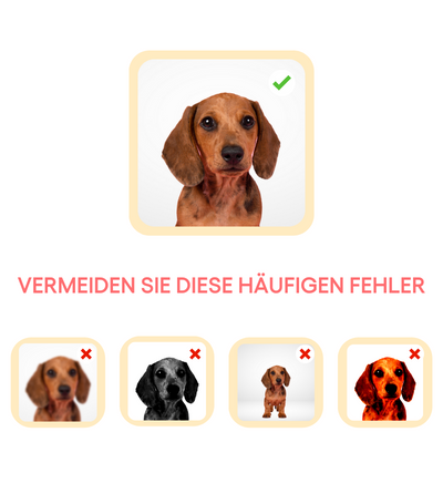 Für ein klares und scharfes Ergebnis